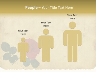 Old Blossom Stain PowerPoint Template
