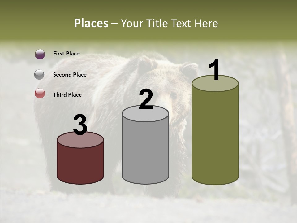 Predator Danger Bear PowerPoint Template