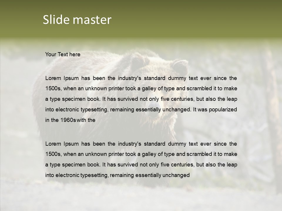 Predator Danger Bear PowerPoint Template