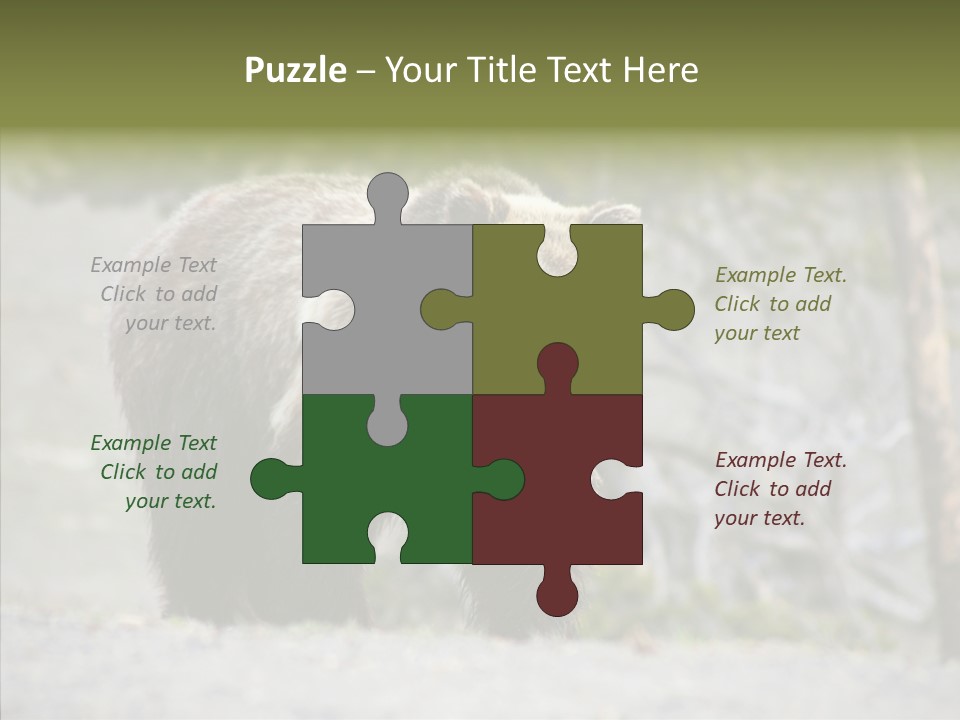 Predator Danger Bear PowerPoint Template