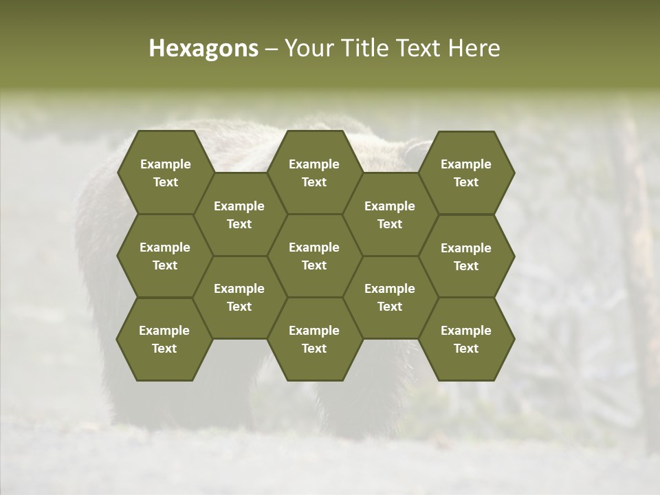 Predator Danger Bear PowerPoint Template