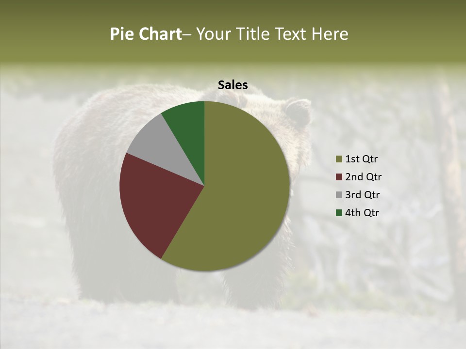 Predator Danger Bear PowerPoint Template