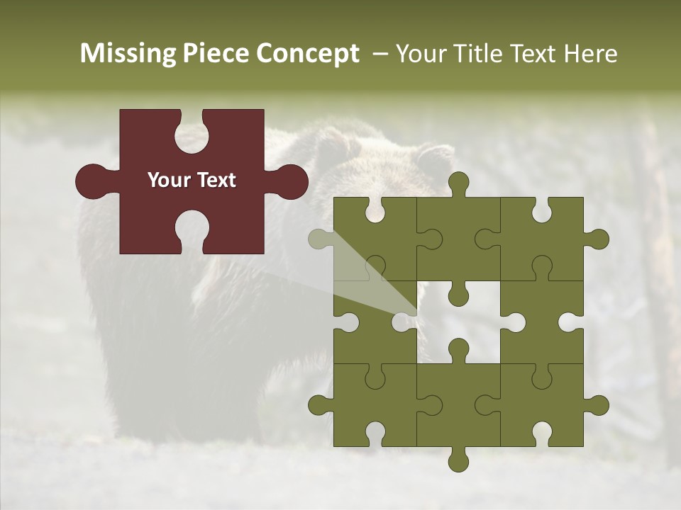 Predator Danger Bear PowerPoint Template
