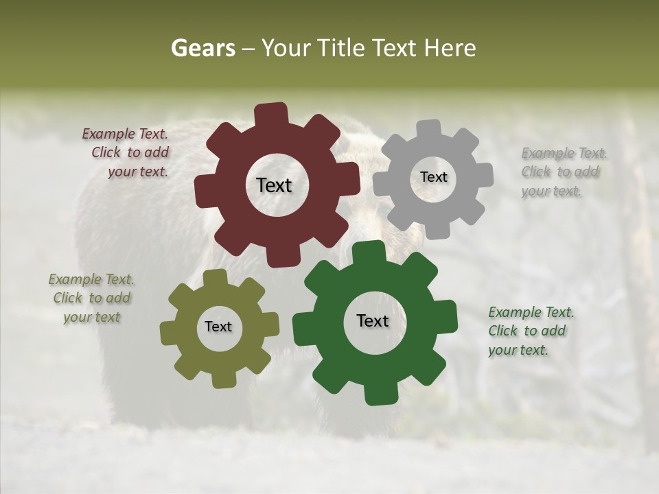 Predator Danger Bear PowerPoint Template