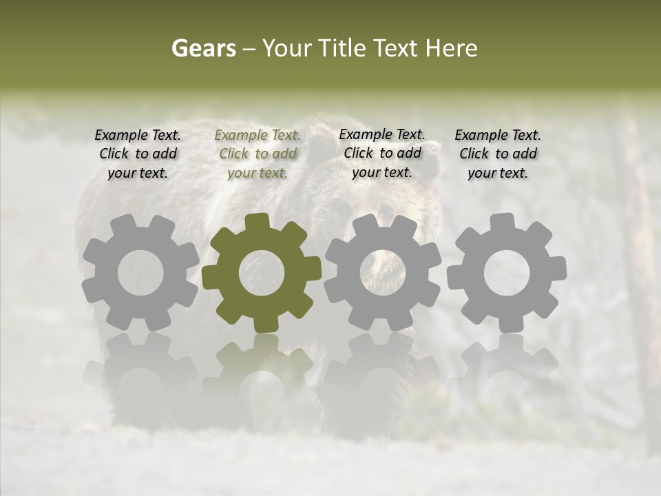 Predator Danger Bear PowerPoint Template