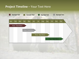 Predator Danger Bear PowerPoint Template
