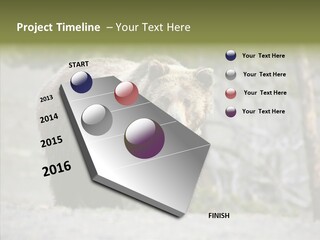 Predator Danger Bear PowerPoint Template