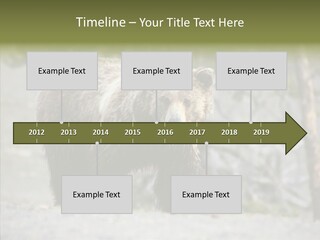 Predator Danger Bear PowerPoint Template