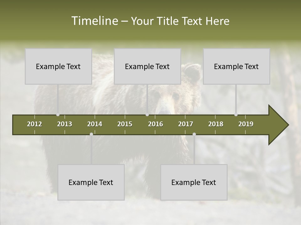 Predator Danger Bear PowerPoint Template