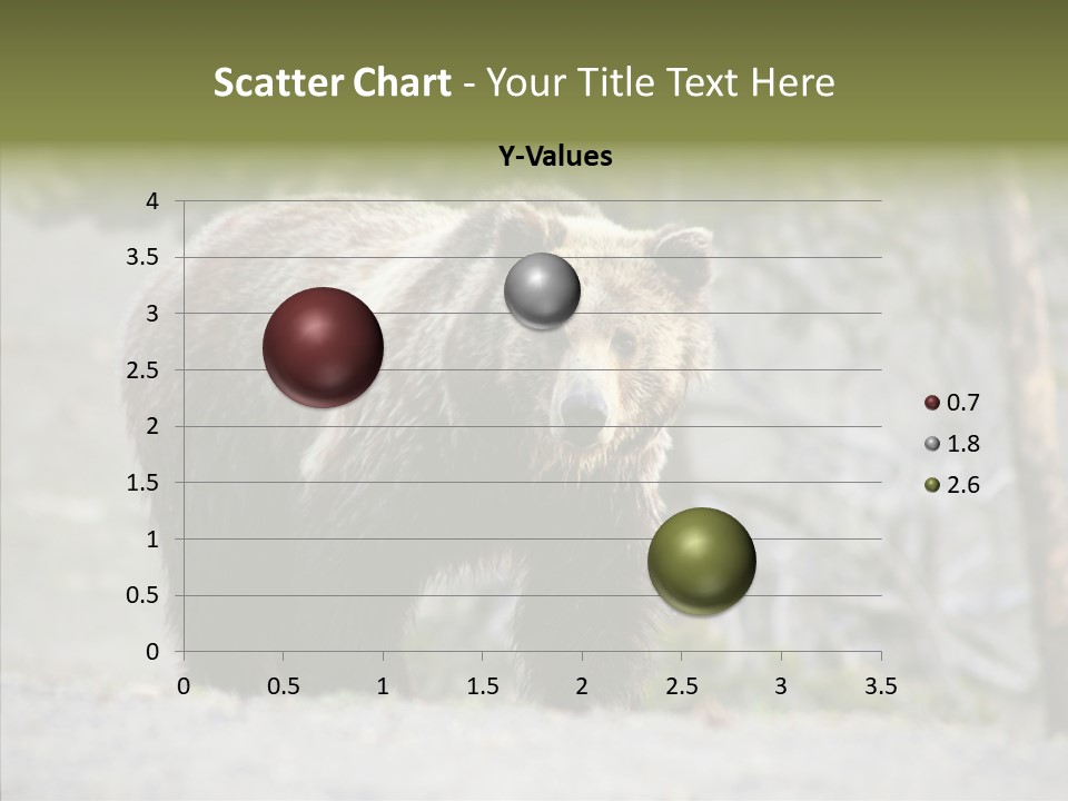 Predator Danger Bear PowerPoint Template
