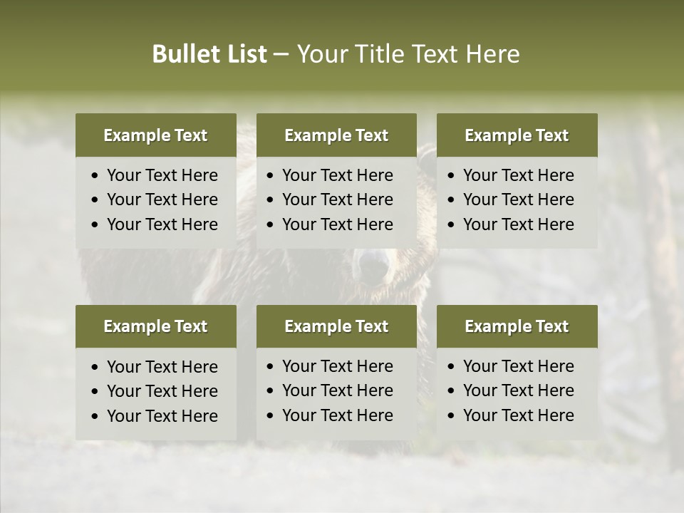 Predator Danger Bear PowerPoint Template
