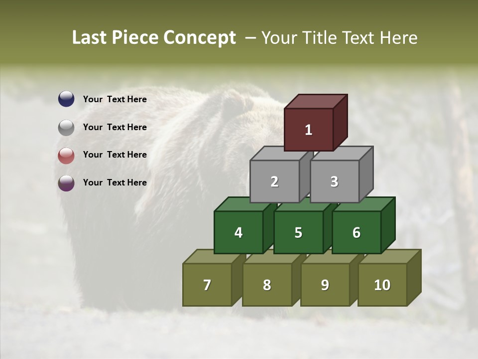 Predator Danger Bear PowerPoint Template