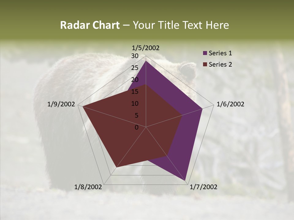 Predator Danger Bear PowerPoint Template