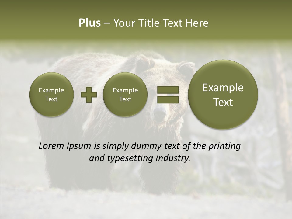 Predator Danger Bear PowerPoint Template