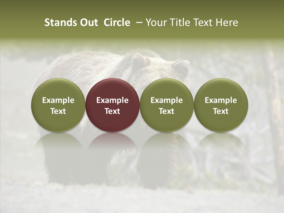 Predator Danger Bear PowerPoint Template