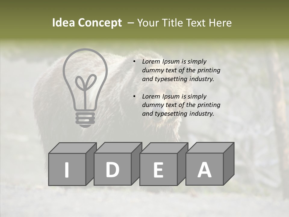 Predator Danger Bear PowerPoint Template