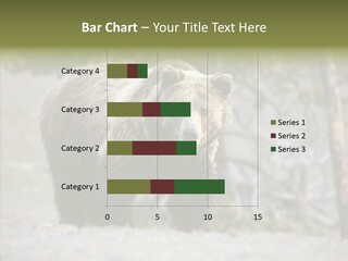 Predator Danger Bear PowerPoint Template