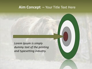 Predator Danger Bear PowerPoint Template