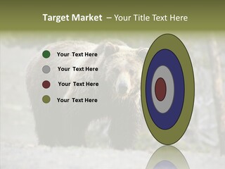 Predator Danger Bear PowerPoint Template