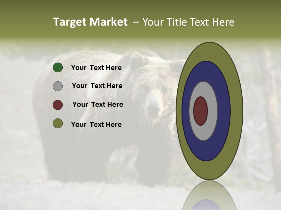 Predator Danger Bear PowerPoint Template