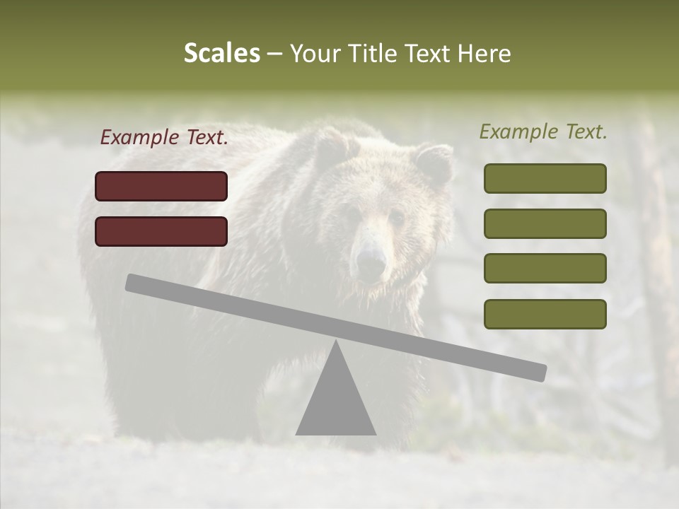 Predator Danger Bear PowerPoint Template