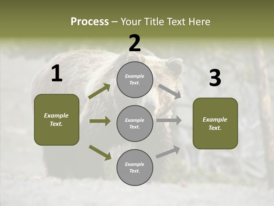Predator Danger Bear PowerPoint Template