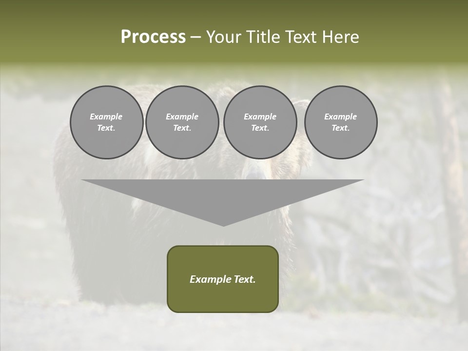 Predator Danger Bear PowerPoint Template