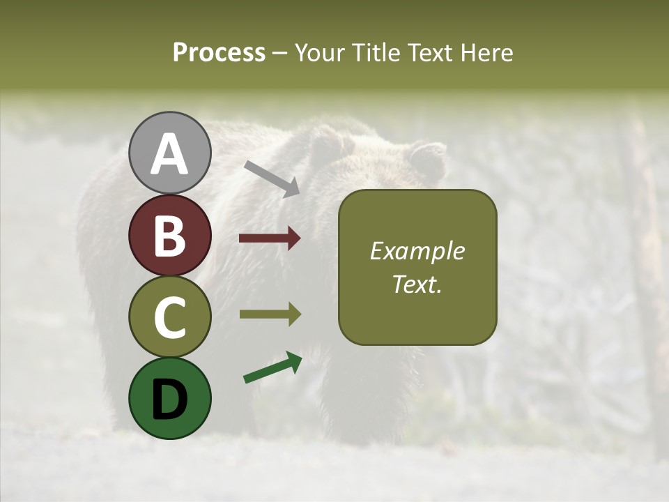 Predator Danger Bear PowerPoint Template