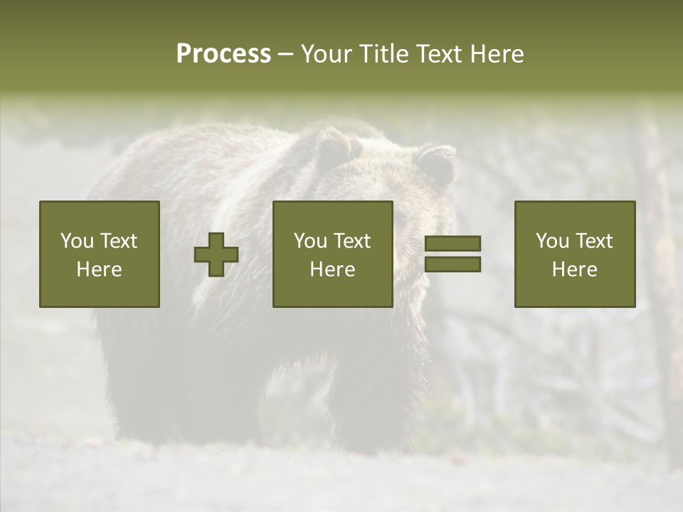 Predator Danger Bear PowerPoint Template