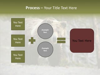 Predator Danger Bear PowerPoint Template