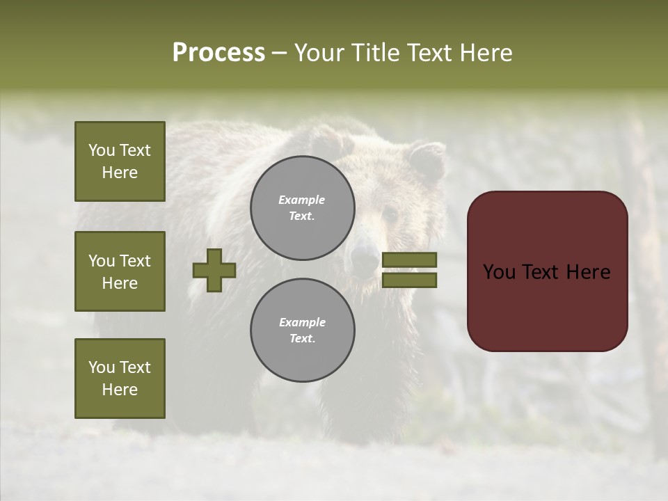 Predator Danger Bear PowerPoint Template