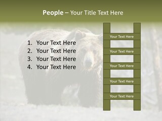 Predator Danger Bear PowerPoint Template