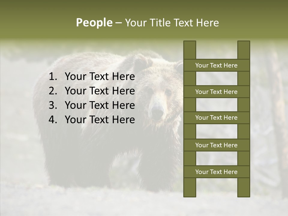 Predator Danger Bear PowerPoint Template