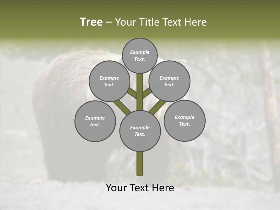 Predator Danger Bear PowerPoint Template