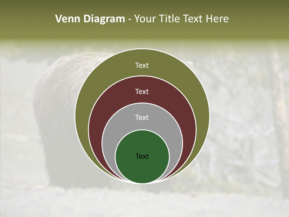 Predator Danger Bear PowerPoint Template