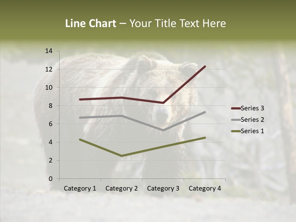 Predator Danger Bear PowerPoint Template