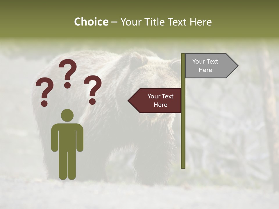 Predator Danger Bear PowerPoint Template