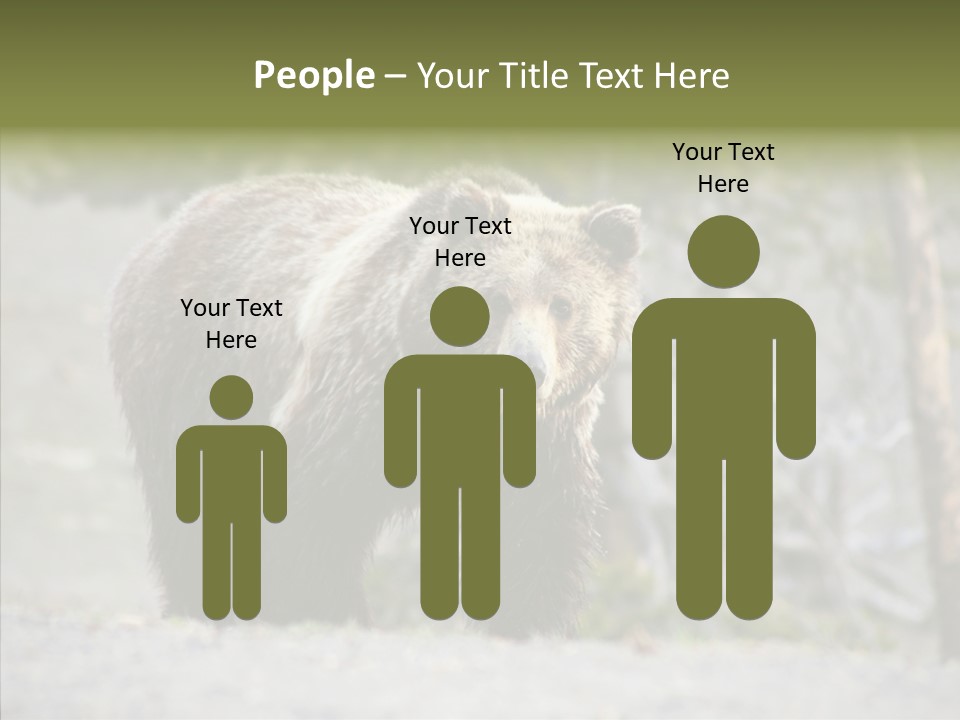 Predator Danger Bear PowerPoint Template