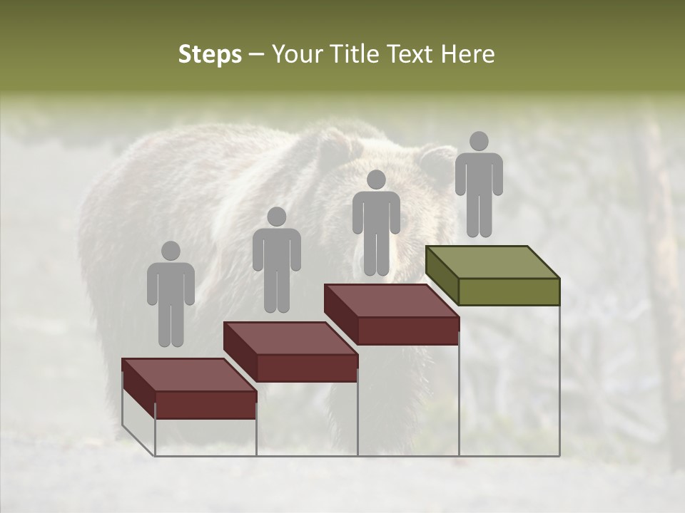 Predator Danger Bear PowerPoint Template