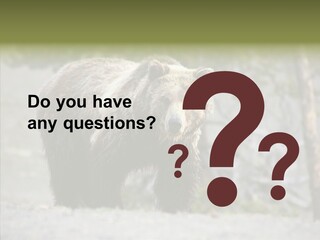 Predator Danger Bear PowerPoint Template