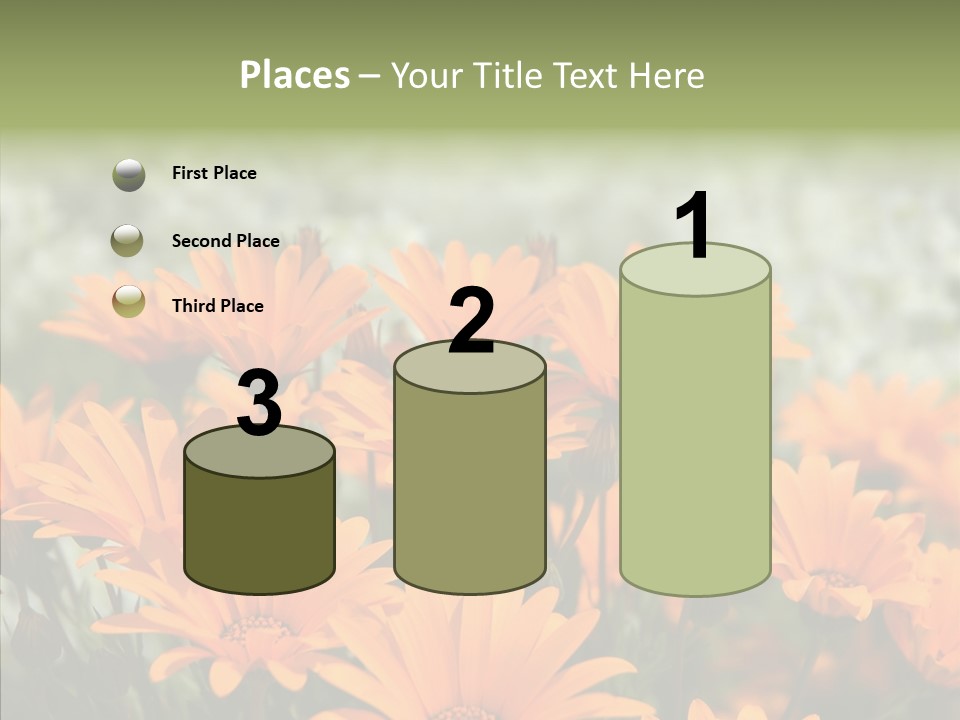 Flower Marigold Colorful PowerPoint Template