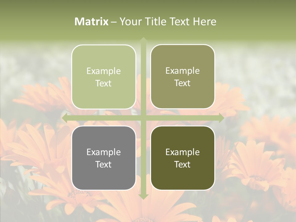 Flower Marigold Colorful PowerPoint Template