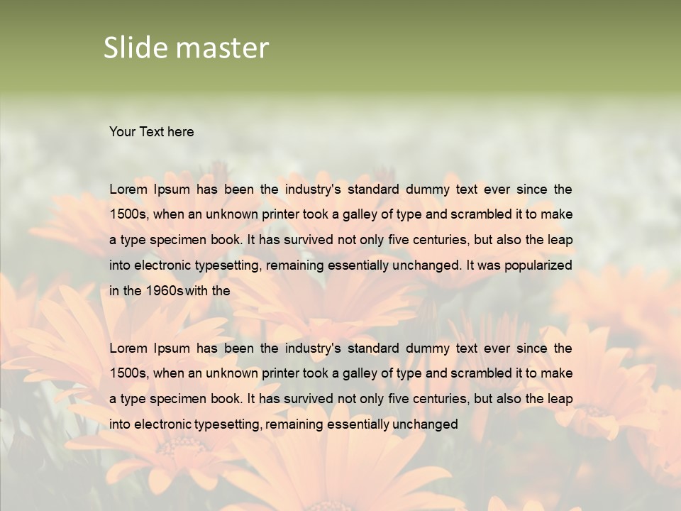 Flower Marigold Colorful PowerPoint Template