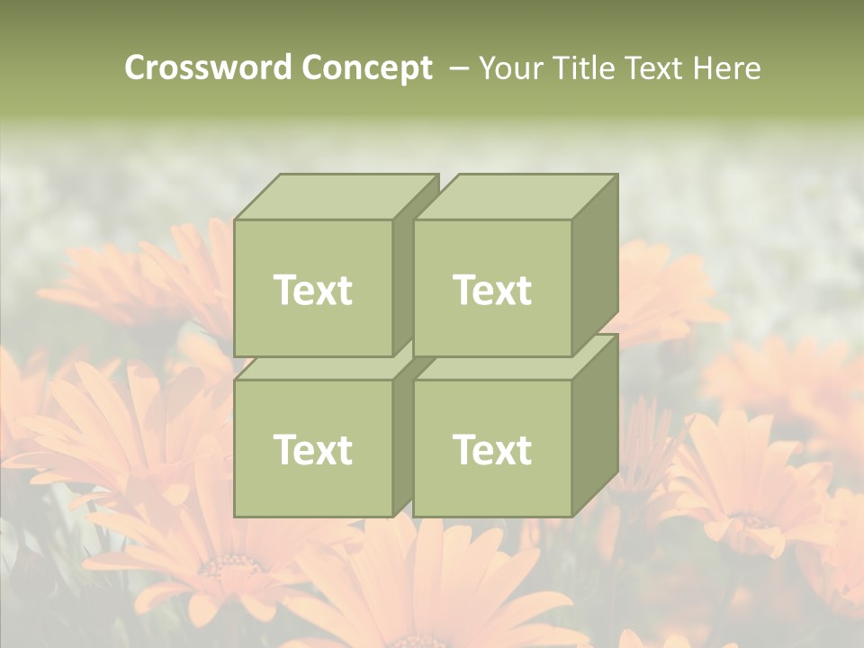 Flower Marigold Colorful PowerPoint Template