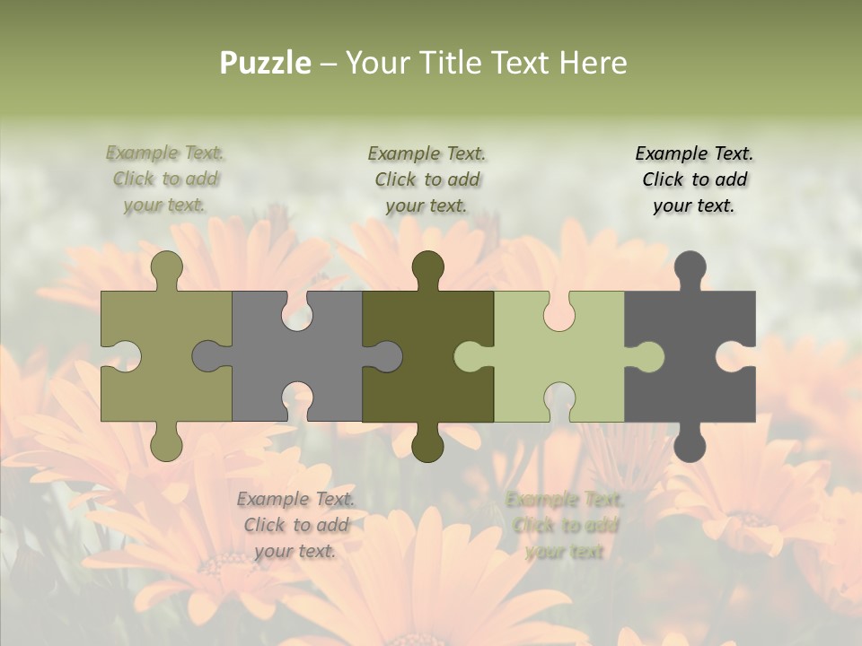 Flower Marigold Colorful PowerPoint Template