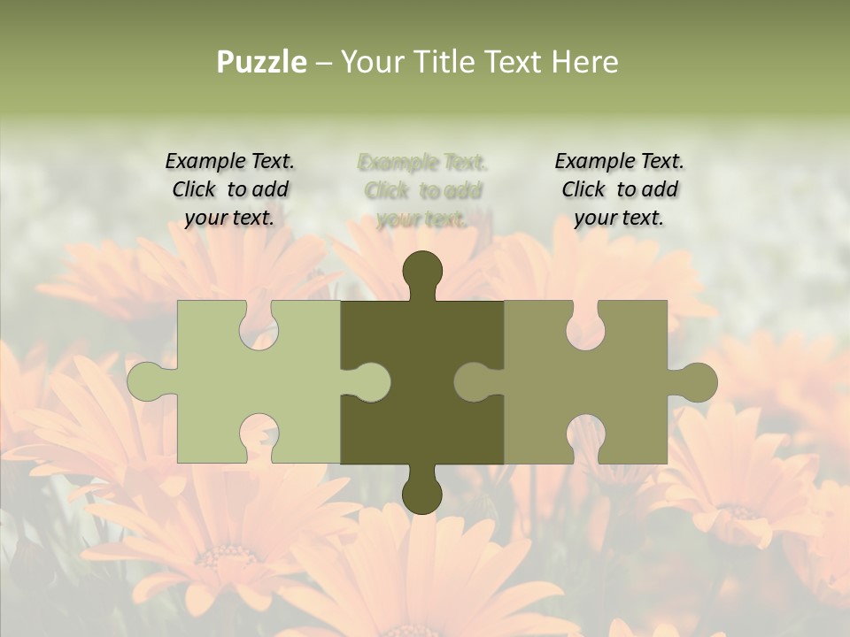 Flower Marigold Colorful PowerPoint Template