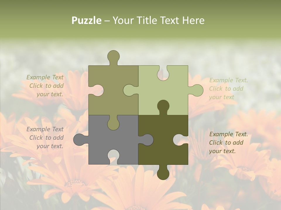 Flower Marigold Colorful PowerPoint Template