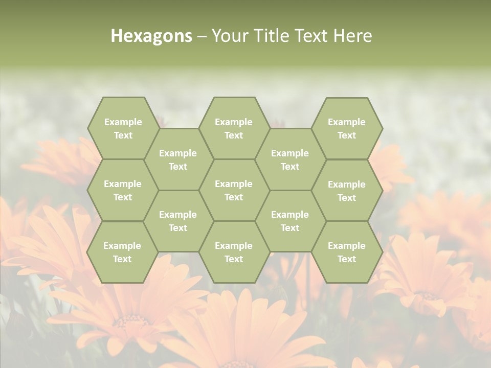 Flower Marigold Colorful PowerPoint Template