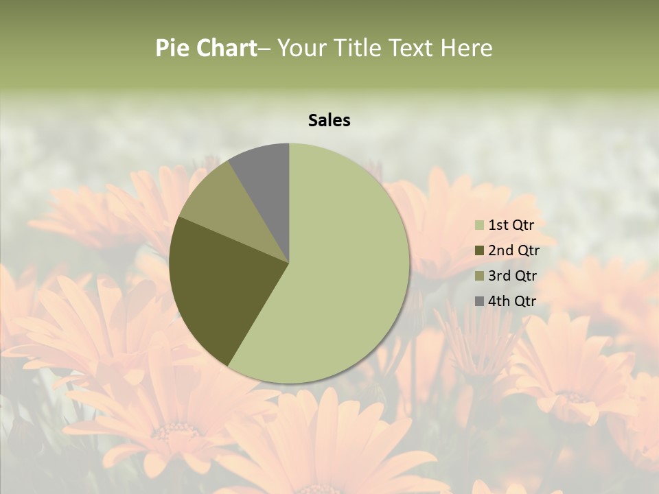 Flower Marigold Colorful PowerPoint Template