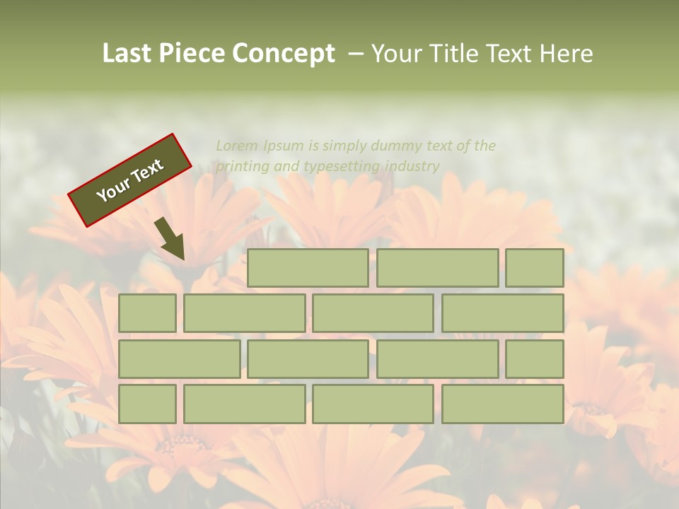 Flower Marigold Colorful PowerPoint Template